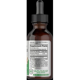 Horbäach Astragalus Root Liquid Extract | 2 oz | Alcohol Free | Vegetarian | by Horbaach