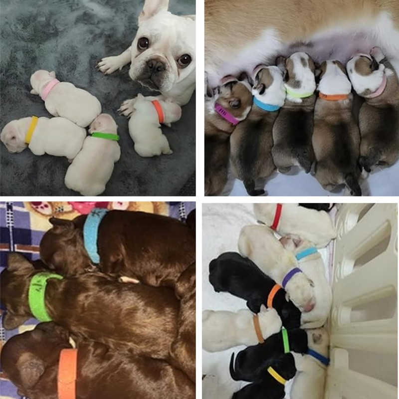 15 Colors Puppy ID Collars, Whelping Puppies ID Bands, Double-Sided
