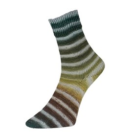 Woolly Hugs Paint Socks by Veronika Hug, 4-Ply, 100 g/420 m, 75% Virgin Wool/25% Polyamide, 2 Identical Knitting Socks, (206 Grey Green)