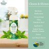 Absolute Green All Purpose Cleaner Spray, Non-Toxic, Kitchen, Bath, Countertop,