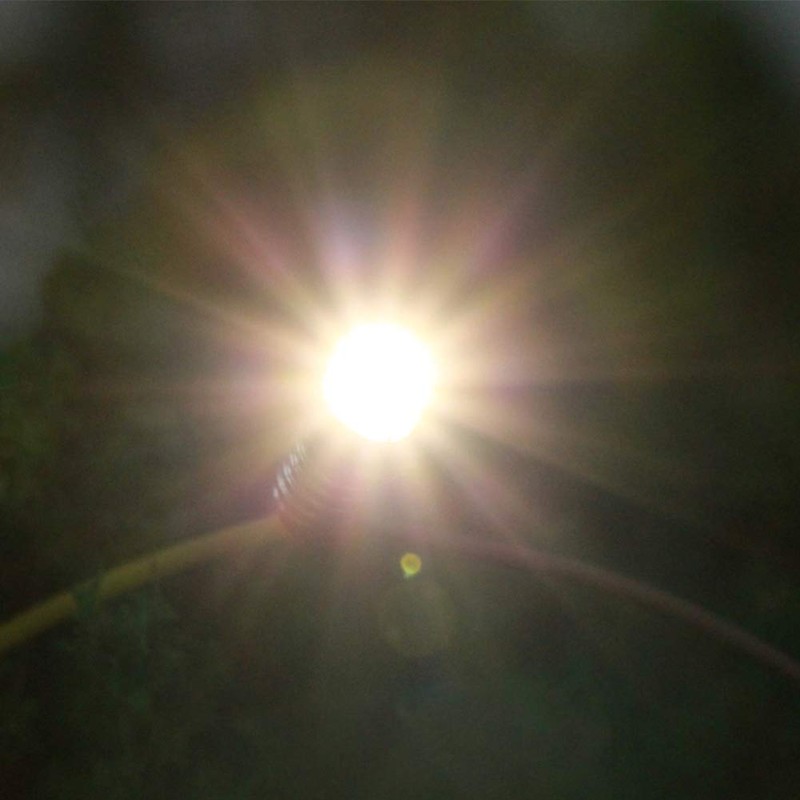 Evemodel E501WM 10PCS Warm White LED Screw Bulb E5 E5.5