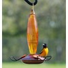 Woodlink's WLO8 Copper Colored Cut Glass Oriole Feeder