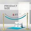 6PCS Velvet Rope 5FT Tiffany – VIP String Thick Velvet