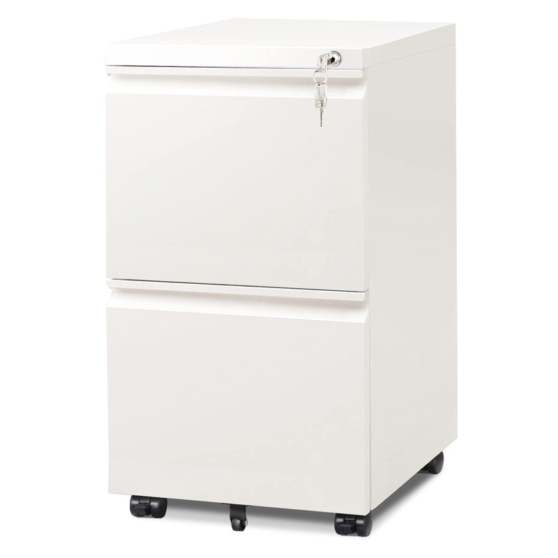 DEVAISE 2 Drawer Mobile File Cabinet with Lock, Commercial Vertical