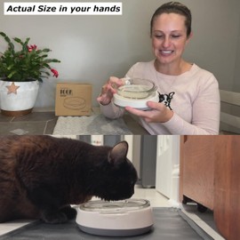 Small and Shallow Glass Bowl for Kitten | Water Bowl for Cats Kitties Puppy | Transparent Pet Feeding Bowl,Promotes Pet Hydration, Durable and Stable Design,Protect Pet's Spine,Dishwasher Safe