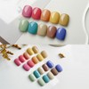 First Street Pulse Gel Someba 10-piece set Autumn color gel