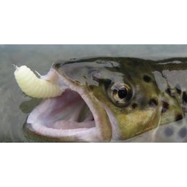 Behr Bait 9085004 Natural Glitter One Size
