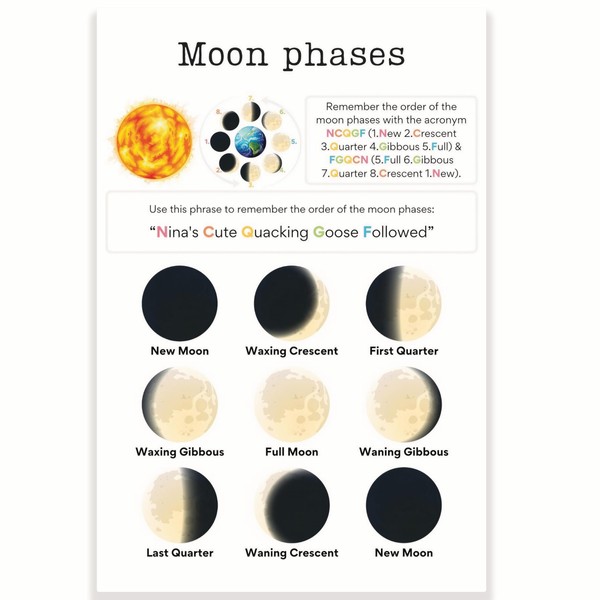 Printlabz Moon Phases Classroom Poster - Science Classroom Poster -