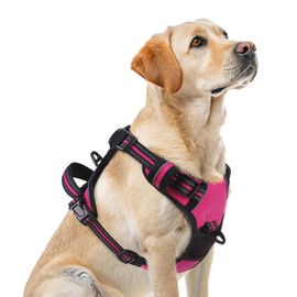 PUPTECK No Pull Dog Harness for Large, Adjustable Reflective Dog Harness with Handle Easy Control, Comfortable Soft Padded Pet Vest Harness for Large Dogs, Fuschia L