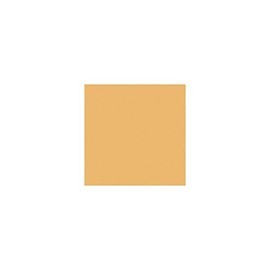 Rosco Cinegel Sun 85, 20x24 Color Correction Lighting Filter