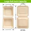 Lxins ECO 9x9 Inch To Go Boxes 75 Pack, Compostable