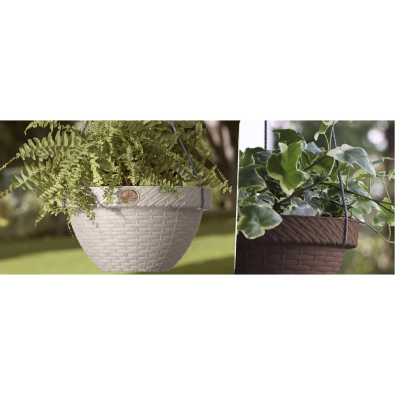 La Ardilla Maceta Colgante De Plastico 26 Cm Paquede De