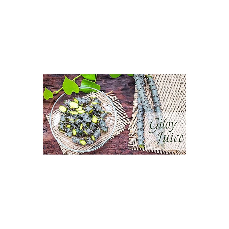 Herbal Magic's Pure & Natural Giloy Powder, for Super Smoothies,