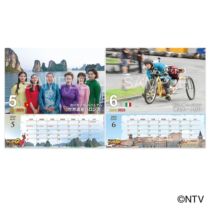 イッテQ！カレンダー2025 壁掛け