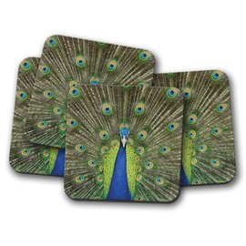 4 Set - Beautiful Peacock Bird Coaster - Indian Peafowl Feathers Fun #14999