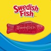 SWEDISH FISH Soft & Chewy Candy, (24 Count of 2