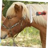 BESPORTBLE Horse Hair Grooming Rake Durable Cleaning Comb for Pet