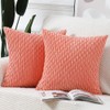 MADIZZ Pack of 2 Boho Striped Corduroy Throw Pillow Covers