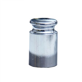 Escali 200g Calibration Weight – Precision Stainless Steel Calibration Weights for Digital Scale, Lab Balances, and Jewelry Scales