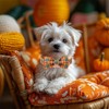 Babole Pet Fall Dog Collar with Bow Tie - Green