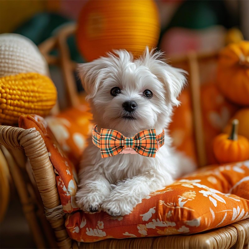 Babole Pet Fall Dog Collar with Bow Tie - Green