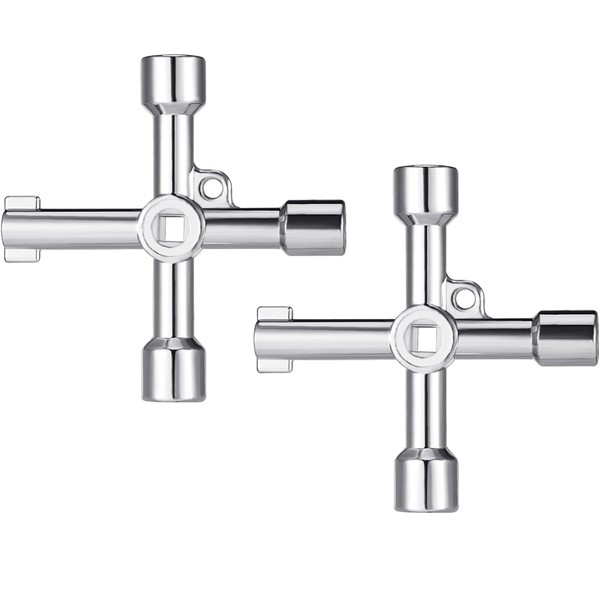 TERJBG 2 x Control Cabinet Keys, Universal Keys, Bleed Key