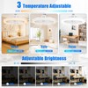 LEOONER Socket Fan Light with Remote,10" Small Ceiling Fans with