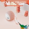 AAA AMUSANG Cat Toys,Interactive Cat Toys for Indoor Cats,Automatic Cat