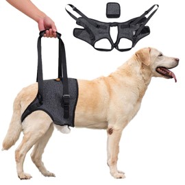 Infreecs Dog Lifting Harness for Back Legs, Dog Support Harness Slings for Large Medium Small, Adjustable Dogs Brace for Hind Leg, Support Strap for Injured Disabled Elderly Dogs Walking Aid, M
