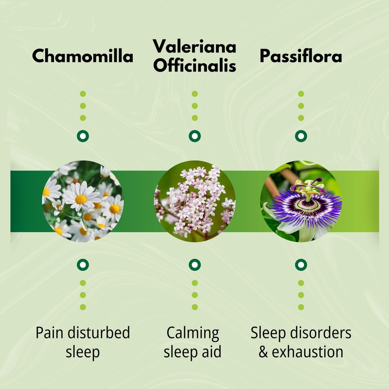 The Relief Products PM Earache Relief - 100% Natural Active