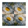 HEKU 100 napkins, 3-ply, 33 x 33 cm, daisies, absorbent