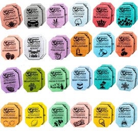 Wonder Wafers Car Air Freshener Variety Pack of 48 - Individually Wrapped Air Fresheners - 24 Scents Car Fresheners (48 Pack 24 Scents)