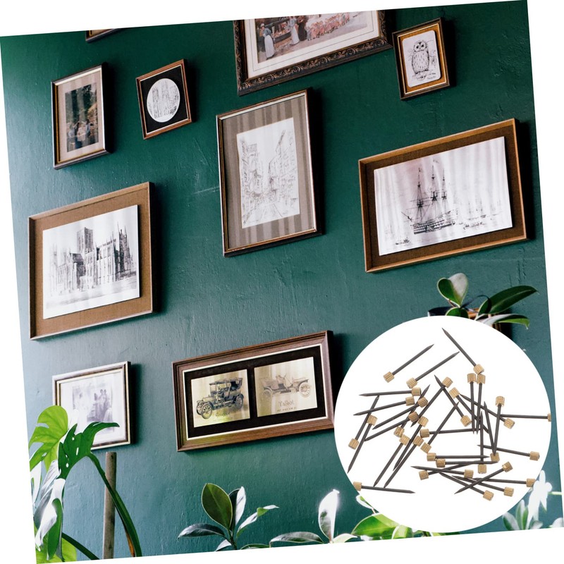 Operitacx 50pcs Nails for Furniture Decoration Strong Picture Hanging Nails