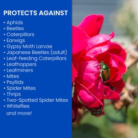 BioAdvanced 3-in-1 Insect and Mite Plant Bug Spray, Pest Control Concentrate, Disease Control