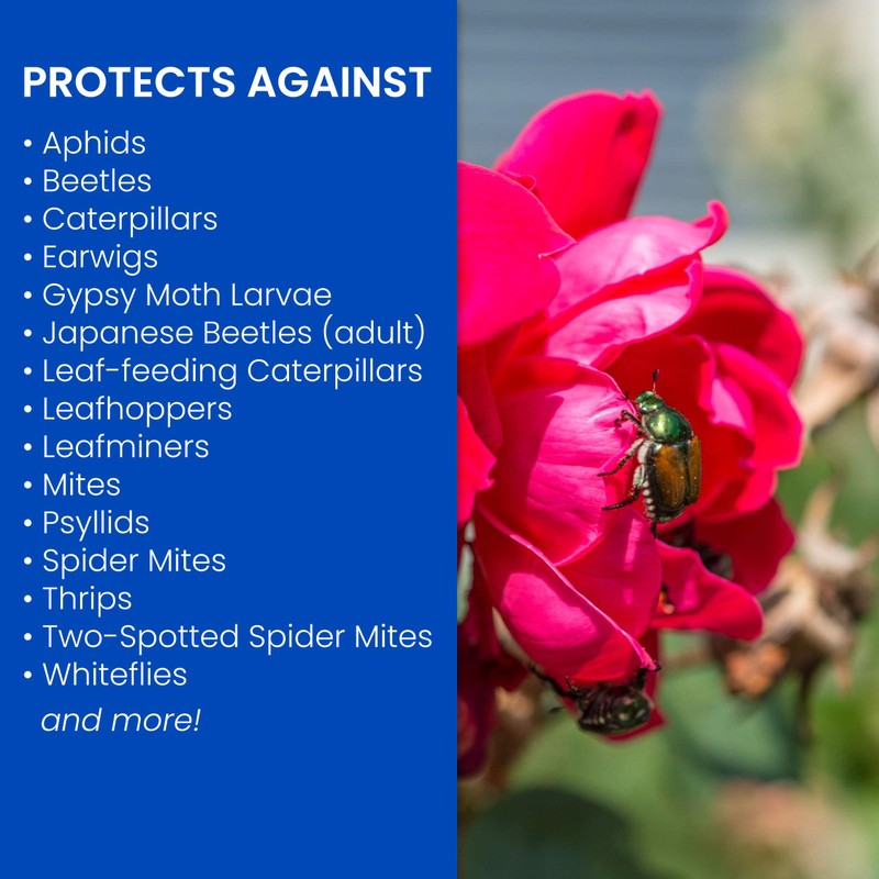 BioAdvanced 3-in-1 Insect and Mite Plant Bug Spray, Pest Control