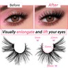 3D False Eyelashes, Cat's Eye, Natural Artificial Eyelash Extensions Set,