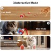 Crazydeer Interactive Cat Toy for Indoor Play Mat Toy with