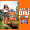 Irn-Bru Bottles, 16.9 Fl Oz (Pack of 12)