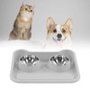 Cat Water Food Bowl 15 Degree Tilt Prevent Spill Stainless