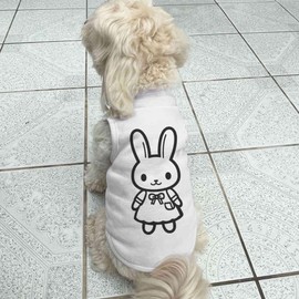 'Cute Bunny in Dress' Pet Dog/Cat T-Shirt (PT00146630)