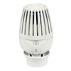 GIACOMINI Thermostatic Radiator Head with Liquid Sensor R460X001