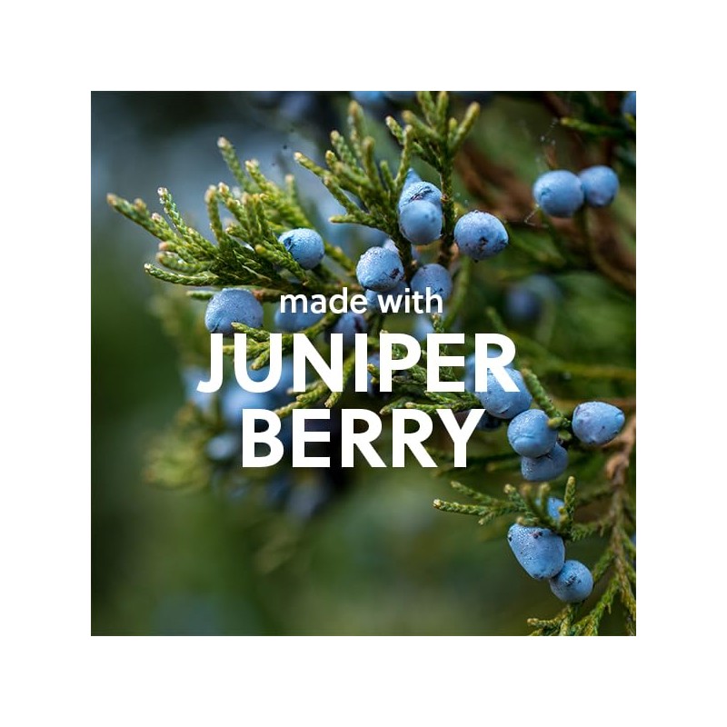 Tree Hut Tropic Blue Musk Wash, Gently Cleanses and Leaves