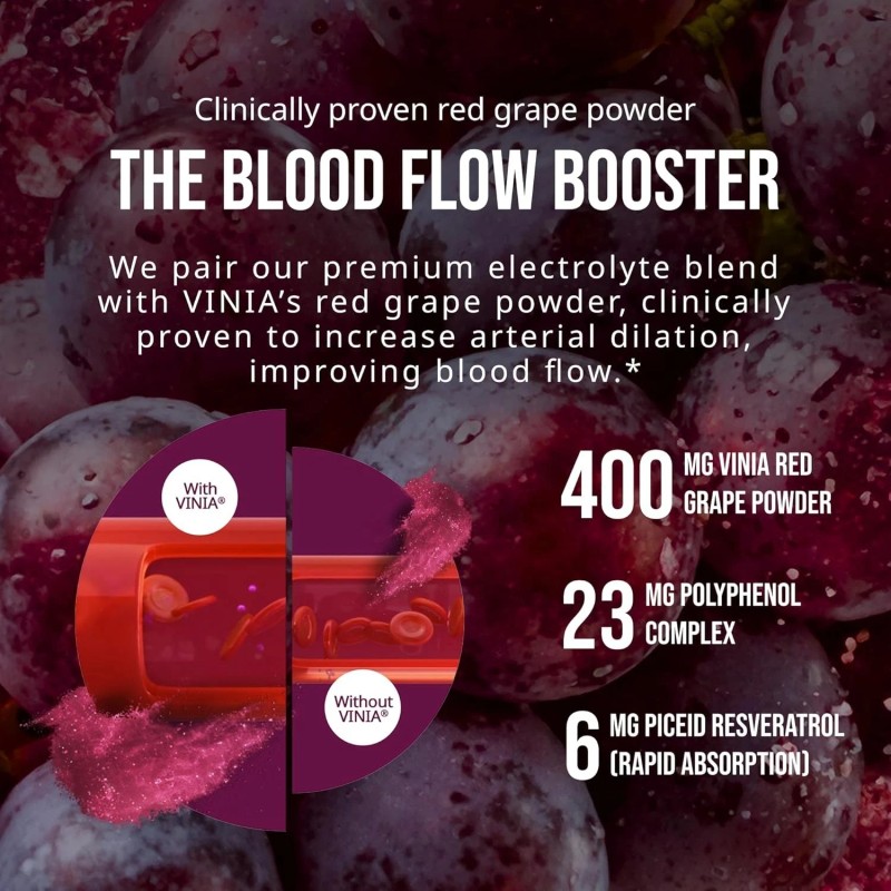 VINIA Resveratrol Electrolyte Hydration Powder Mix Mixed Berry Flow& Circulation