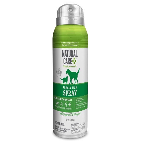Natural Care Flea and Tick Spray for Dogs and Cats - Flea & Tick Treatment for Dogs and Cats - Flea & Tick Killer with Certified Natural Oils - 14 Ounces