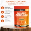Turmeric Curcumin Tablets 7,260mg Per Serving - 95% Curcuminoids 2