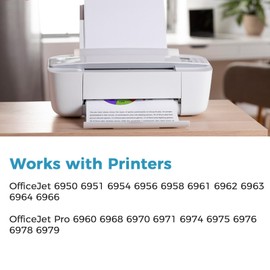 Inknova 902XL Ink Cartridges Black for HP 902 XL Printers 6968 6978 Compatible for HP902XL 2-Pack HP902 for OfficeJet 6958 6970 6962 6960 6950 6975 6954 6951 6956 6961 6963 6964 6966 6971 6974 6976 6979