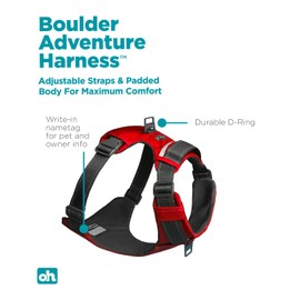 Outward Hound Boulder Adventure Adjustable Dog Harness with Pockets, Red, Small