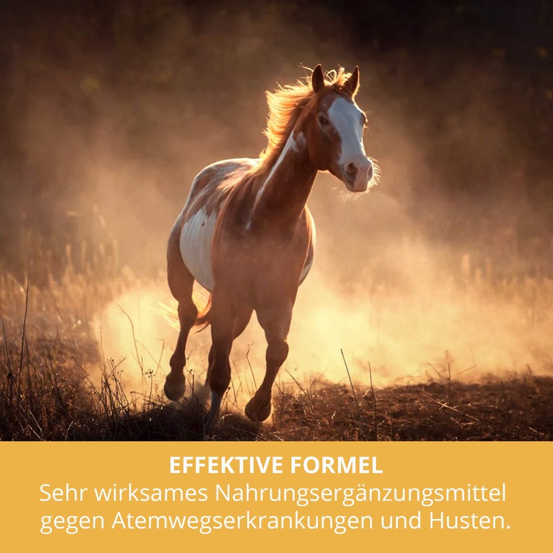 Sensipharm Pulmitranq - Dietary Supplement for Lungs and Respiratory Tract