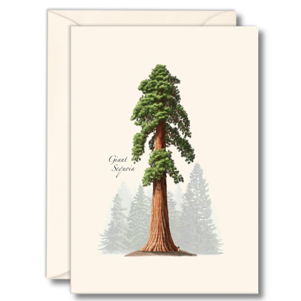 Earth Sky + Water - Giant Sequoia Notecard Set -
