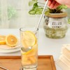 TAMUME 2pcs Glass Lemon Squeezer and Drink Stirrer Gin, Manual